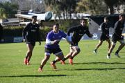 Los Pumas tienen titulares confirmados para enfrentar a Inglaterra: no habrá tucumanos desde el arranque