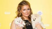 Barbie Simons apuesta por la longevidad canina: la insólita técnica inspirada en Paris Hilton