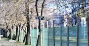 Así serán las obras de puesta en valor del Parque Saavedra: monumento, jardín botánico, veredas y más