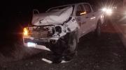 Añelo: chocó contra una yegua en la Ruta 17 tras esquivar otros dos animales
