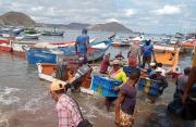 Cambio climático y escasez de sardina en Sucre: nuevo trabajo de la RPI de Venezuela – Correo del Caroní