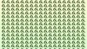 Acertijo visual: solo las personas con vista de halcón podrán encontrar la letra o en la imagen