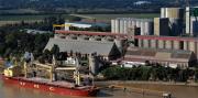 La Comisión Nacional de Defensa de la Competencia desestimó una denuncia por cartelización en el mercado granario