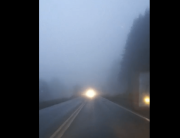 ¡No se ve nada!: las lluvias y la niebla complican la circulación en las Rutas 40 y 23 de Río Negro