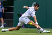 Djokovic y Sinner siguen avanzando en Wimbledon – Correo del Caroní