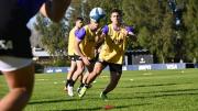 El mundo de Los Pumas es muy profesional