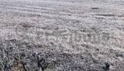 Salta otra vez bajo cero: Heladas extremas tiñen de blanco la ciudad con -6 grados de sensación térmica