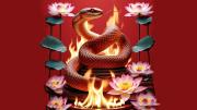 HORÓSCOPO CHINO: los 4 animales bendecidos en el fin de semana de la Serpiente de Fuego