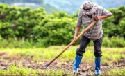 Paritarias UATRE de trabajadores rurales: cuánto cobran en julio 2025