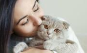 ¿Sos la persona favorita de tu gato? Las claves para saberlo, según expertos