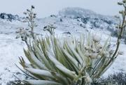 Reportan nevada en Pico El Águila, en Mérida – Correo del Caroní