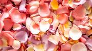 Cómo preparar un aromatizante con pétalos de rosa para el hogar