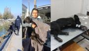 Milagro en el Canal Velarde: Rescataron a un perrito que sobrevivió dos semanas comiendo basura