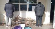 Aprehendieron a cuatro personas por tenencia ilegal de aves silvestres en Albardón