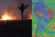 ¿Cómo enfrentará Bolivia los incendios forestales y qué acciones concretas tomará el Gobierno?