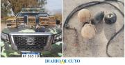 Secuestraron perros galgos, aves autóctonas y elementos de caza: hay 5 detenidos