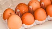 ¿Qué hago si los huevos tienen una pelusa blanca en la cáscara?