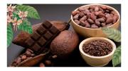 Día del Cacao: 10 lugares irresistibles para rendirse al chocolate en Buenos Aires
