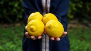 Cómo usar limón para quitar manchas de aceite