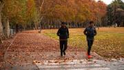 Emiten una alerta amarilla para este domingo por fuertes vientos en la cordillera