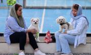 El país donde pasear a tu mascota te puede dar problemas