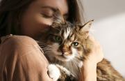 Cómo elige un gato a su persona favorita: las señales que demuestran su elección