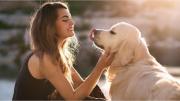 ¿Tu perro te sigue a todas partes? Según la psicología, hay una respuesta lógica para eso