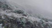 Heladas y granizadas afectan a 6 departamentos y 127 municipios