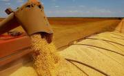 Retenciones: más quejas del campo, con la mira puesta en la rentabilidad