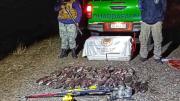 Incautan truchas, codornices y leña nativa: el operativo en cinco rutas de Neuquén