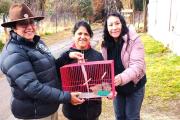 ¡Final feliz en Neuquén! Dos codornices que estaban en cautiverio fueron entregadas a una escuela