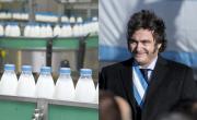 Denuncian salarios adeudados y aportes impagos en un histórica empresa láctea en medio de la crisis de Milei