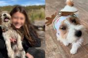 Un hombre asesinó a un perro que era apoyo emocional de una nena con epilepsia