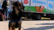 Vacunación: para proteger a personas y animales ante ciertas enfermedades es lo más efectivo