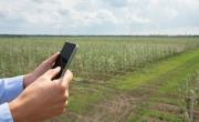 Google observa un rearraigo rural en Argentina y destaca al agro