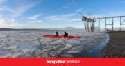 La escuela de kayak destacó mejoras en la ría