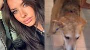 Yanina Latorre asegura que uno de los perros de la China Suárez acaba de morir de forma trágica: “Qué raro ”