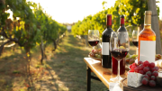 Cómo guardar el vino abierto para que no se eche a perder