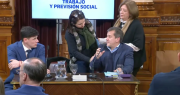 El mileísmo en el Senado rechazó tratar la emergencia en Discapacidad