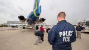 Víctimas del ICE pueden denunciar abusos en redadas: conozca el organismo encargado y cómo comunicarse