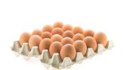 ¡Alerta en tu nevera! Estos son los riesgos de guardar los huevos en el refrigerador: los peligros que casi nadie imagina