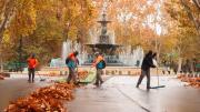 Siguen los días primaverales en pleno invierno, una tregua después del frío polar