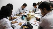 Si querés ingresar a Medicina de la UNT en 2026, tenés que hacer este curso en julio