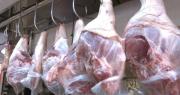 Adepor dice que la falta de diésel les afecta para trasladar el cerdo a mercados y también para la adquisición de insumos