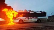Chofer salva a 24 pasajeros de un micro en llamas cerca de Nahuel Pan