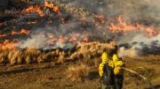 El Gobierno eliminó el Fondo Nacional de Manejo del Fuego