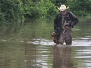 Un abuelo conmovió a las redes tras rescatar a su perro en medio de las inundaciones