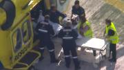 Observaba a una leona en un zoológico y terminó con un brazo amputado