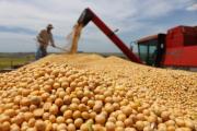 INE destaca que exportaciones de derivados de soya, oro y castaña impulsaron el superávit positivo en mayo