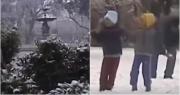 Video: a 18 años de un día histórico y blanco en San Juan